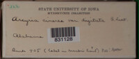 Image Associated With the Occurence